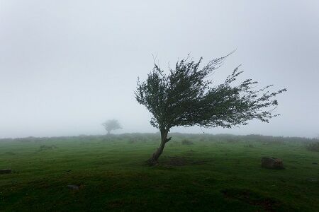 stormschade verzekering